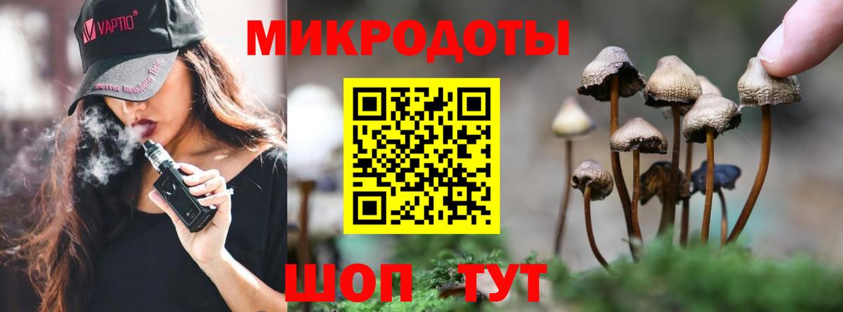 Псилоцибиновые грибы прущие грибы Норильск